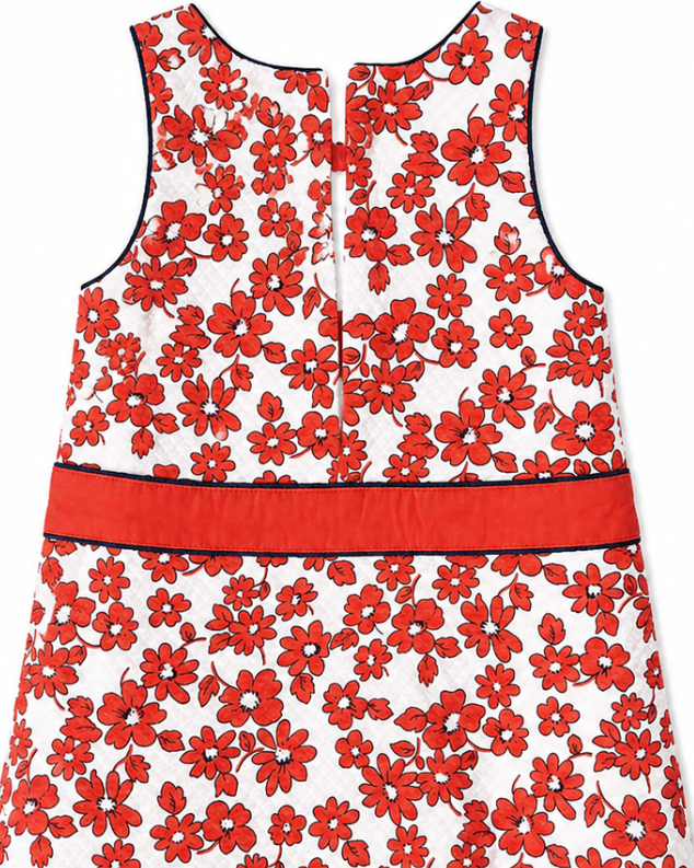 Red floral dress on a white background